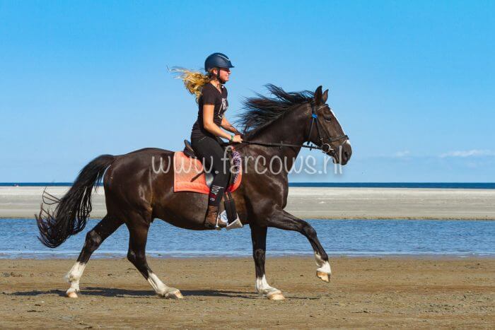 molenruiters buitenrit op ameland