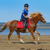 molenruiters buitenrit op ameland 2018