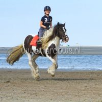 molenruiters buitenrit op ameland