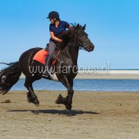 molenruiters buitenrit op ameland 2018