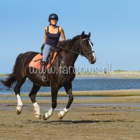 molenruiters buitenrit op ameland 2018