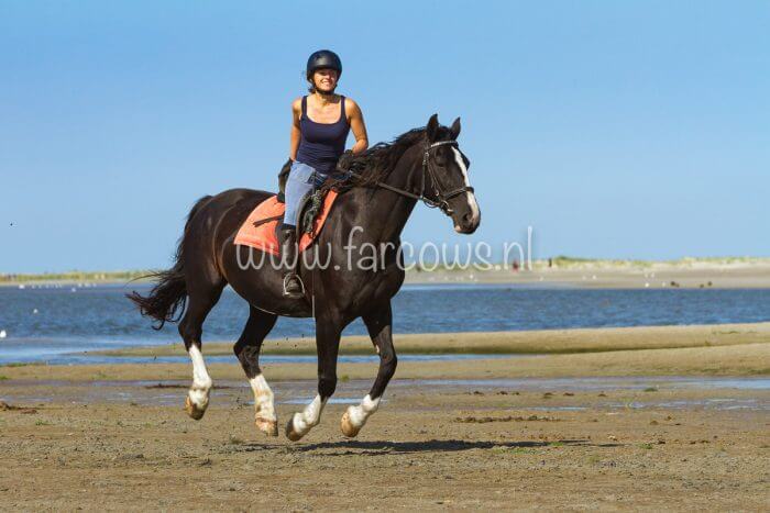 Molenruiters buitenrit op Ameland