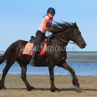 molenruiters buitenrit op ameland 2018