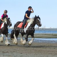 molenruiters buitenrit op ameland 2018