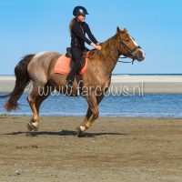 molenruiters buitenrit op ameland 2018