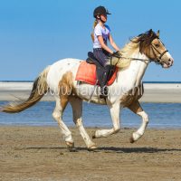 molenruiters buitenrit op ameland 2018