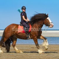 molenruiters buitenrit op ameland 2018