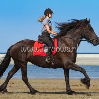 molenruiters buitenrit op ameland 2018