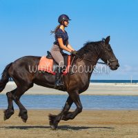 molenruiters buitenrit op ameland 2018