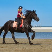 molenruiters buitenrit op ameland 2018