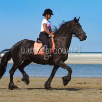 molenruiters buitenrit op ameland 2018