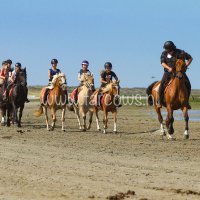 molenruiters buitenrit op ameland 2018