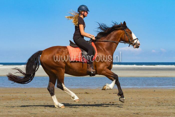 molenruiters buitenrit op ameland 2018