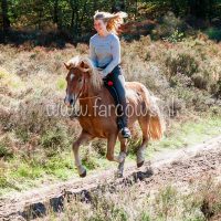 Paardenvierdaagse Zorgvlied 2018