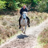 Paardenvierdaagse Zorgvlied 2018