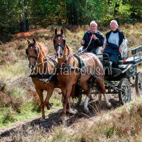 Paardenvierdaagse Zorgvlied 2018