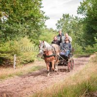 Paardenvierdaagse Zorgvlied 2018