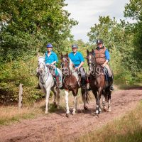 Paardenvierdaagse Zorgvlied 2018