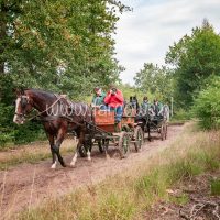 Paardenvierdaagse Zorgvlied 2018