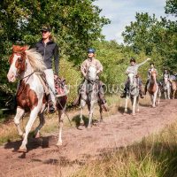 Paardenvierdaagse Zorgvlied 2018