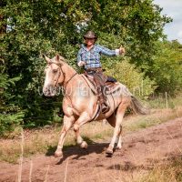 Paardenvierdaagse Zorgvlied 2018