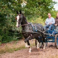 Paardenvierdaagse Zorgvlied 2018