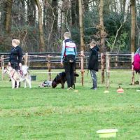 irundog workshop 2018 zorgvlied