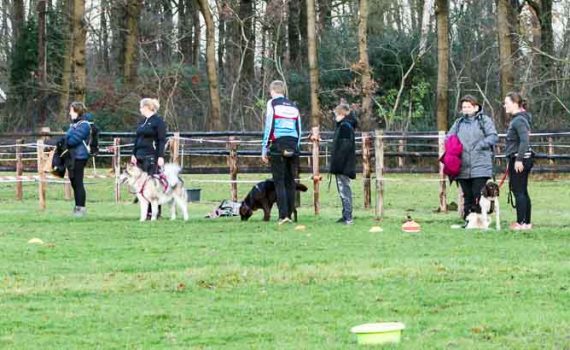 irundog workshop 2018 zorgvlied