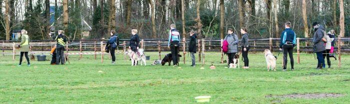 irundog workshop 2018 zorgvlied