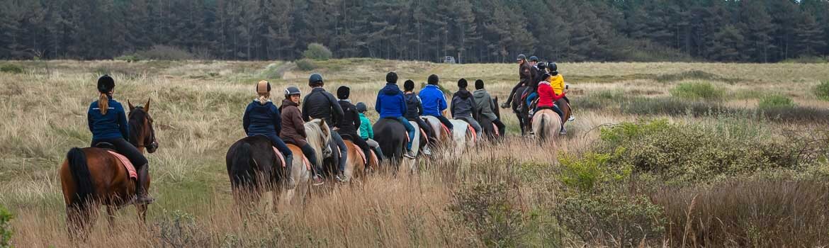 Ameland strandrit april 2019