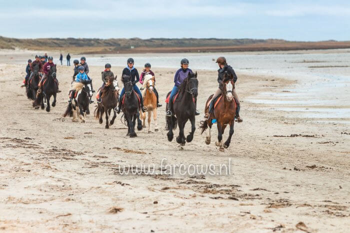 Ameland strandrit april 2019