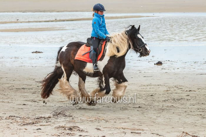 Ameland strandrit april 2019