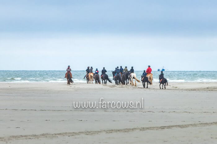 Ameland strandrit april 2019