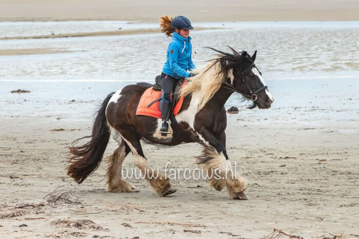 Ameland strandrit april 2019