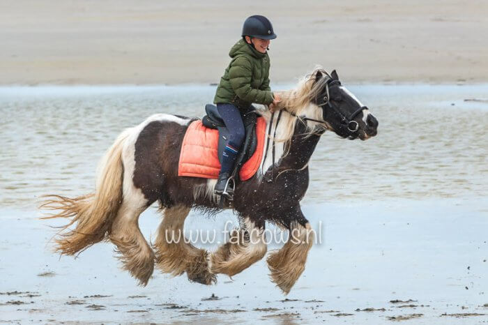 Ameland strandrit april 2019