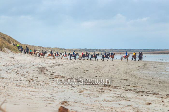 Ameland strandrit april 2019