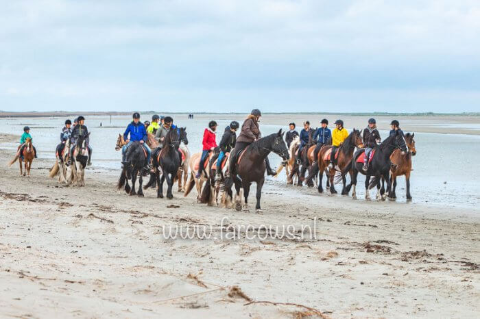 Ameland strandrit april 2019