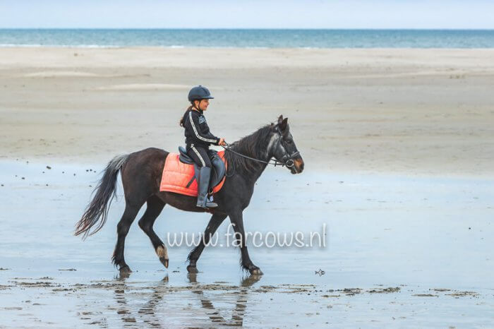 Ameland strandrit april 2019