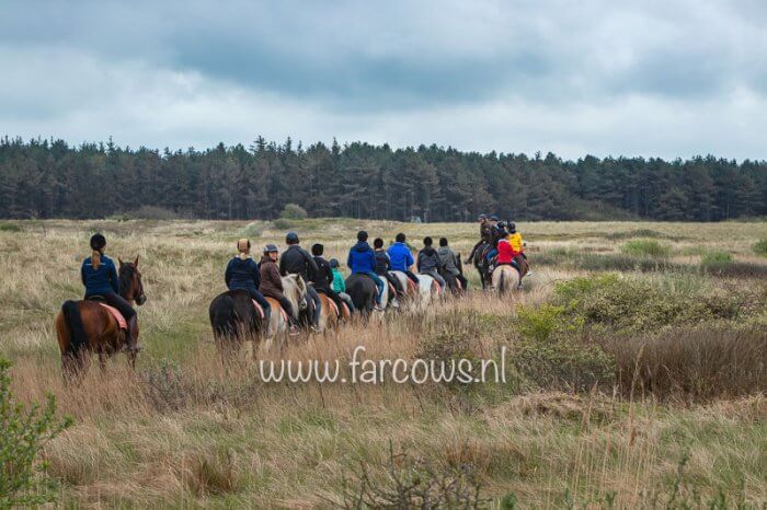 Ameland strandrit april 2019