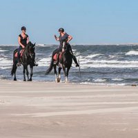 Fotograferen-tijdens-strandrit-op-Ameland