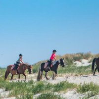 Molenruiters strandrit op Ameland 2019