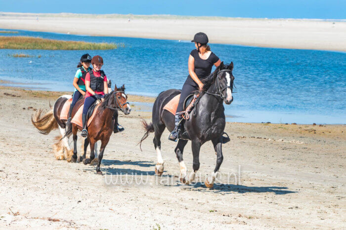 molenruiters-strandrit-ameland-2019