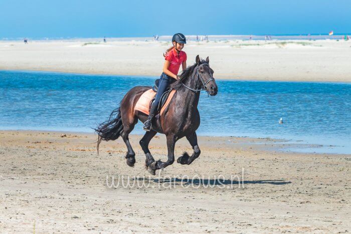 molenruiters-strandrit-ameland-2019