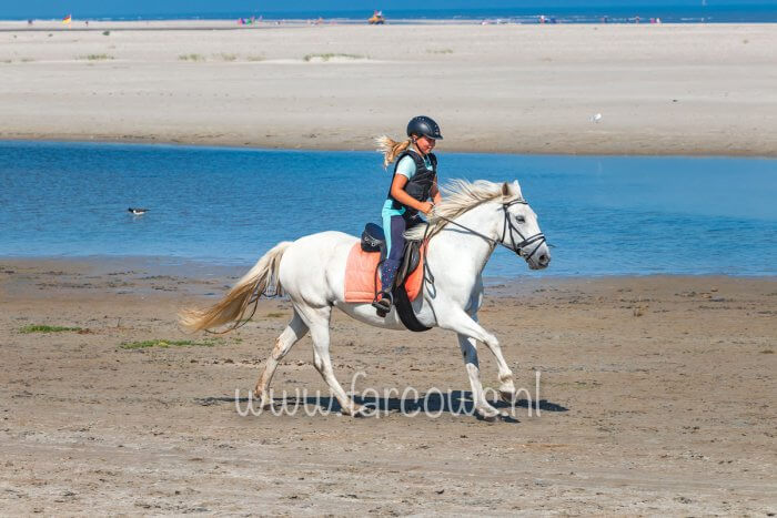 molenruiters-strandrit-ameland-2019