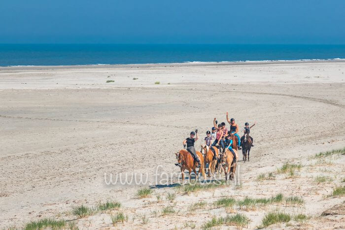 molenruiters-strandrit-ameland-2019