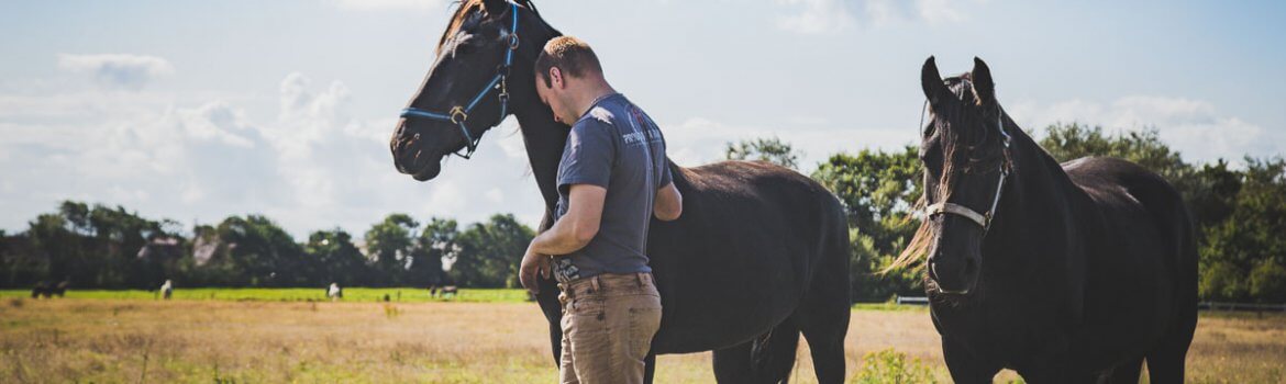 laatste foto afscheid paard