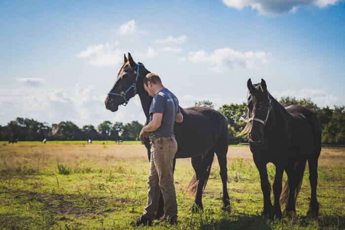 laatste foto afscheid paard