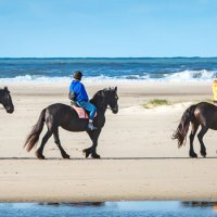 strandrit Ameland buitenrit banner