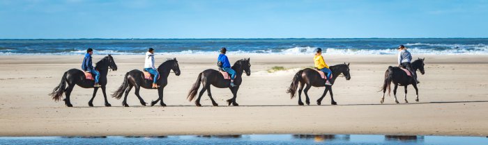 strandrit Ameland buitenrit banner