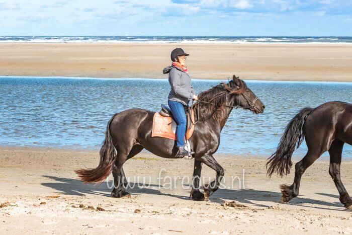 strandrit ameland 19 september